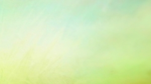 2021-09-12 20.15.30.jpg